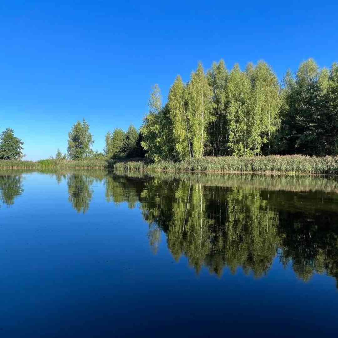 Кемпинги Берег Грифона Сокольское-32